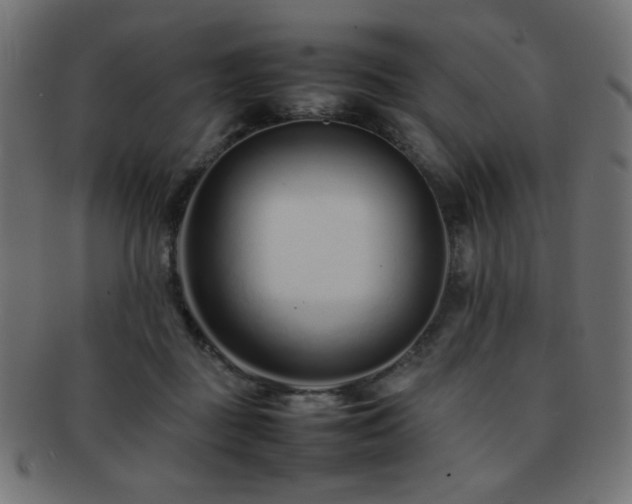 X0000092270363200709141205