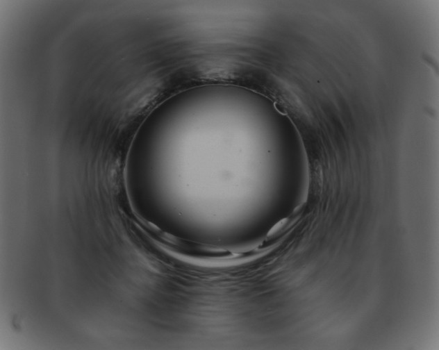 X0000092270364200709141205