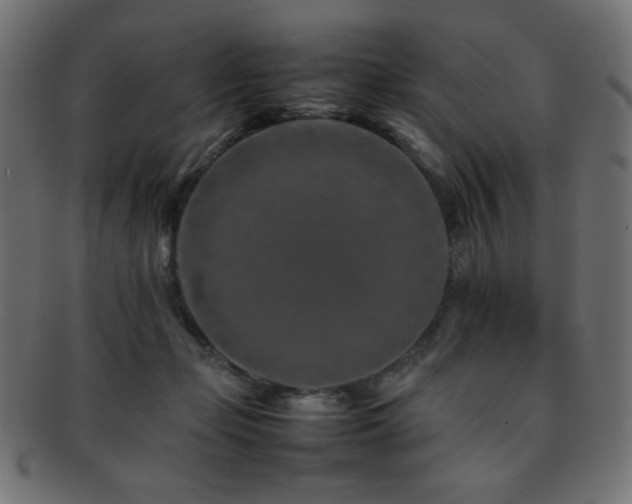 X0000092270365200709141205