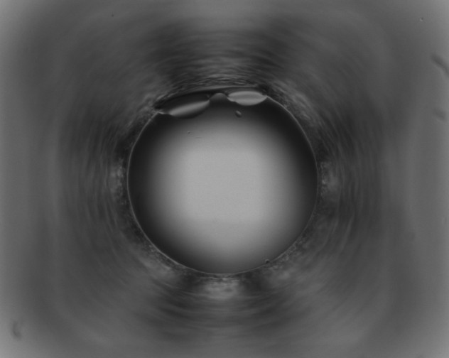 X0000092270369200709141206