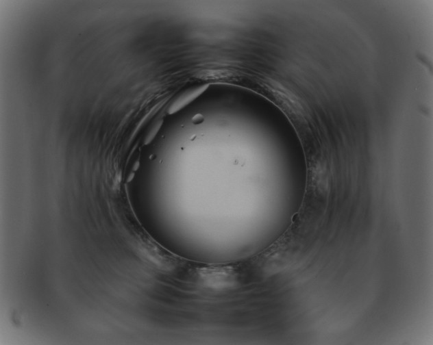X0000092270373200709141206