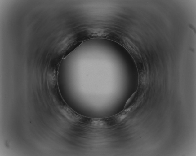 X0000092270376200709141206