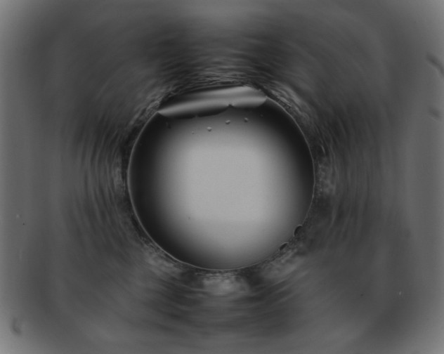 X0000092270377200709141206