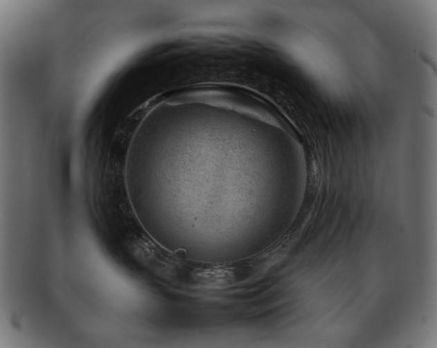 X0000092270383200709141206