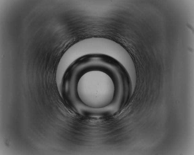 X0000092270384200709141206