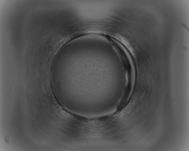 X0000092270385200709141205