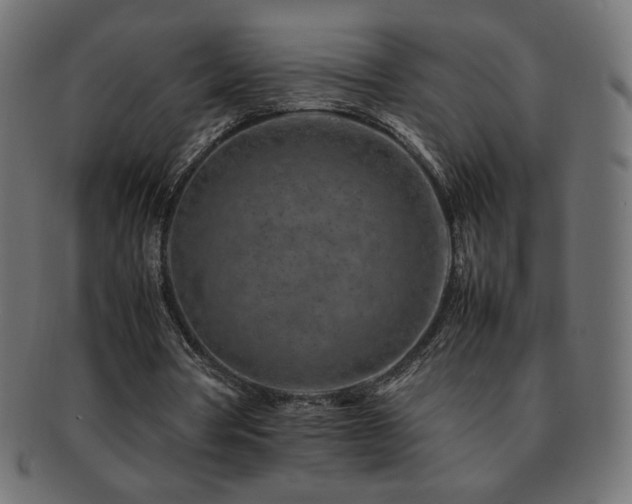 X0000092270386200709141205