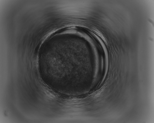 X0000092270387200709141205