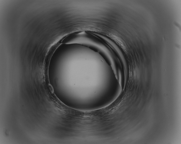 X0000092270388200709141205