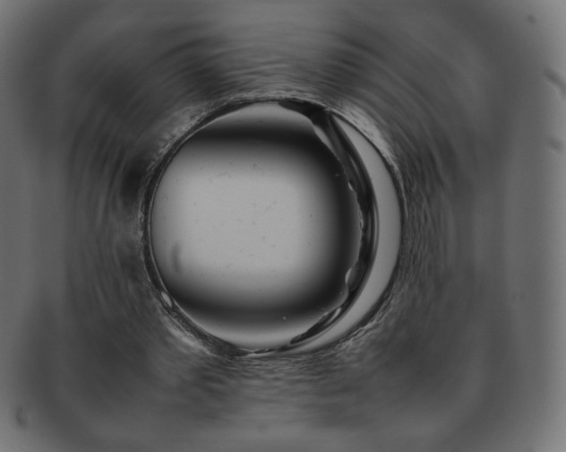 X0000092270389200709141205