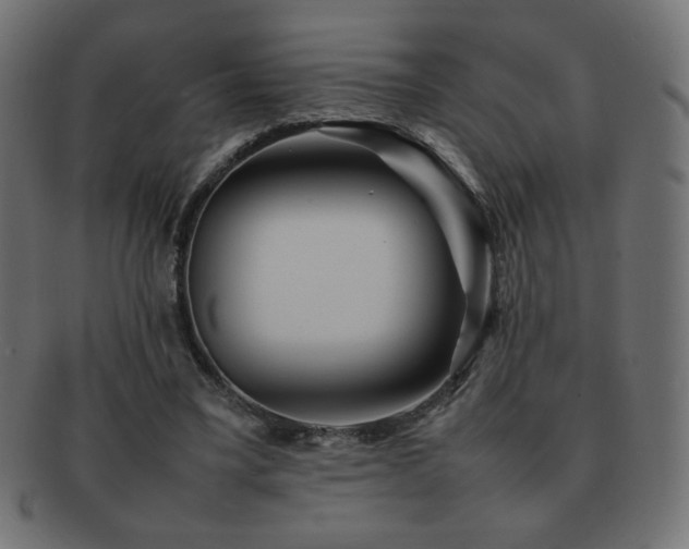 X0000092270395200709141205