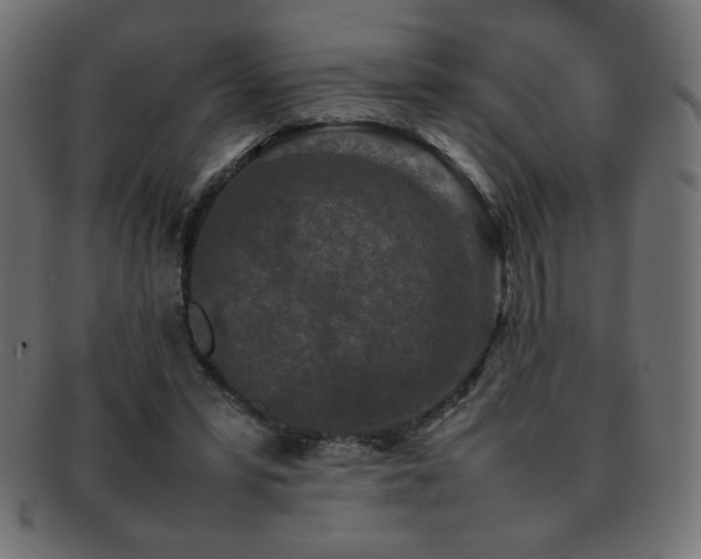 X0000092270399200709141205
