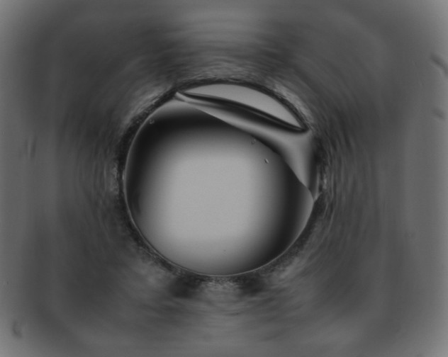 X0000092270403200709141205