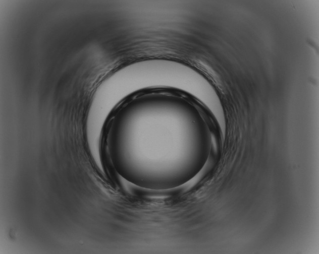 X0000092270405200709141205