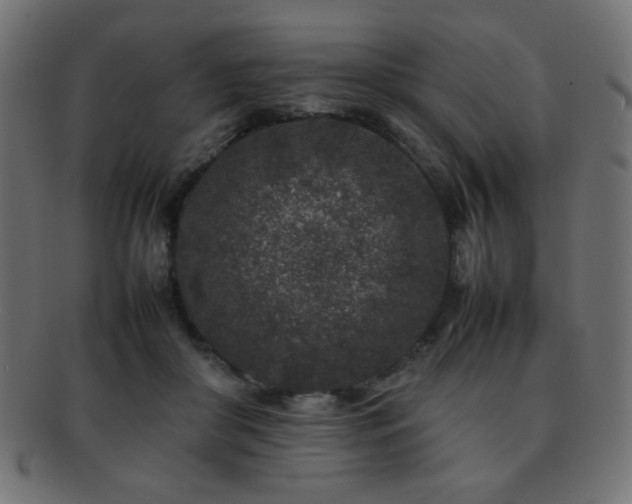 X0000092270410200709141205