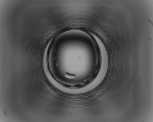X0000092270411200709141205