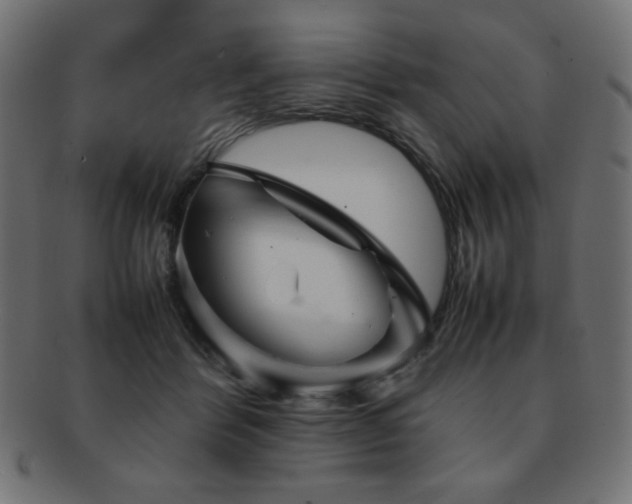 X0000092270412200709141205