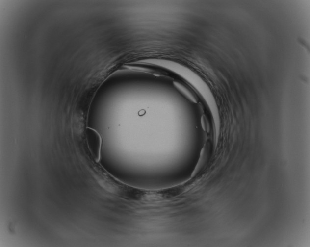 X0000092270413200709141205