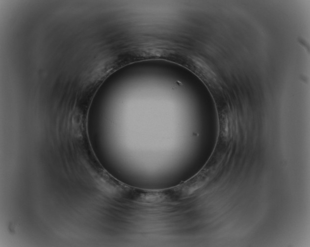 X0000092270414200709141205