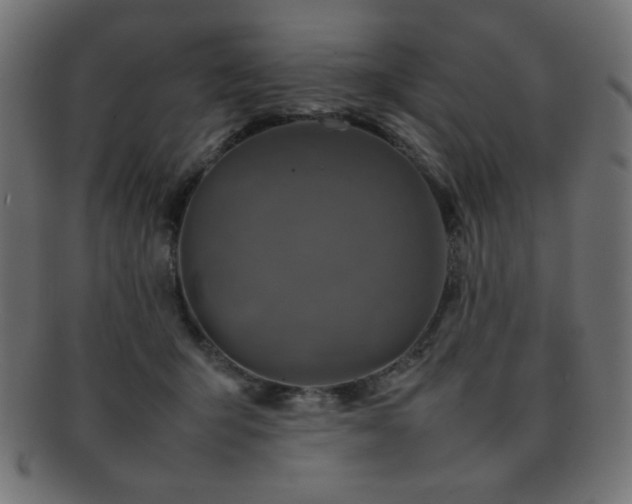 X0000092270415200709141205