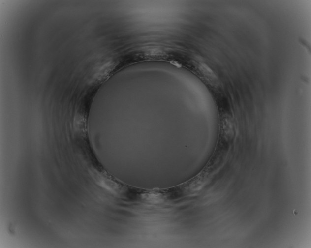 X0000092270419200709141205