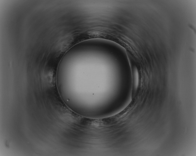 X0000092270420200709141205
