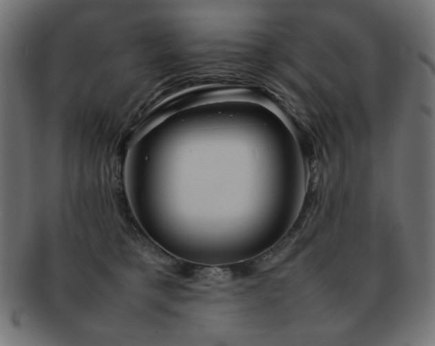 X0000092270421200709141205