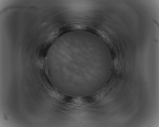 X0000092270423200709141205