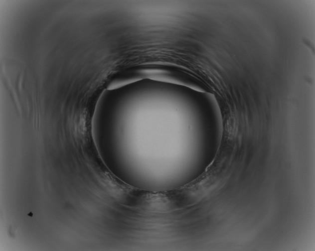 X0000092270424200709141205