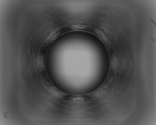 X0000092270426200709141205