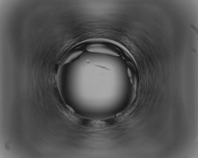 X0000092270429200709141205