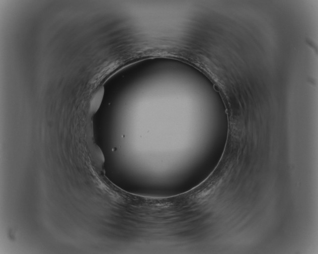 X0000092270433200709141204