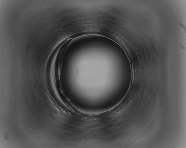 X0000092270435200709141204