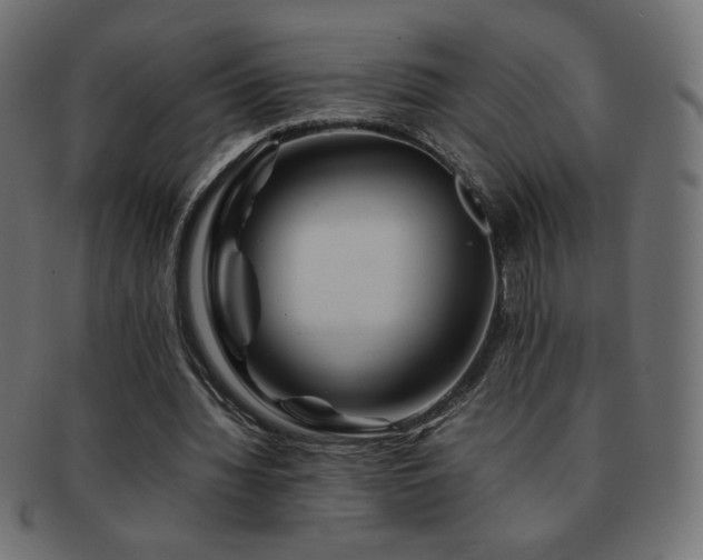 X0000092270436200709141204