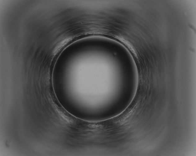 X0000092270437200709141204