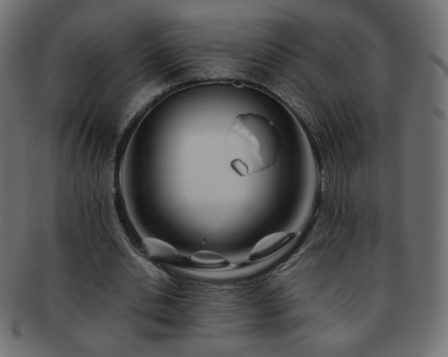 X0000092270438200709141204