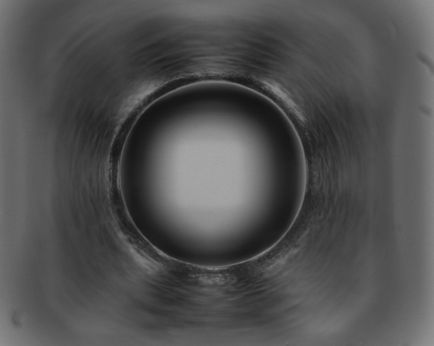 X0000092270439200709141204