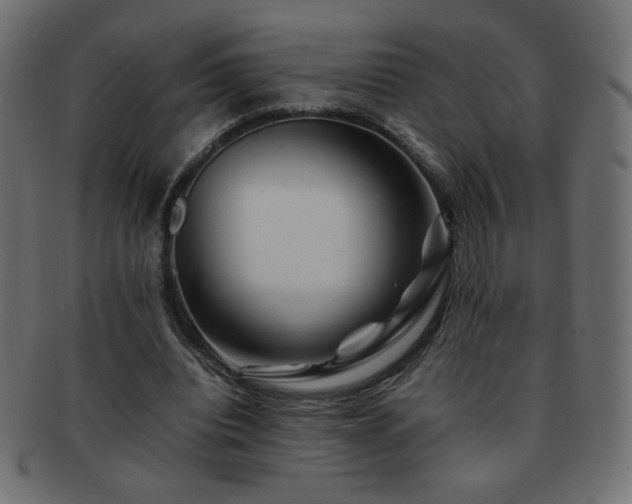 X0000092270440200709141204
