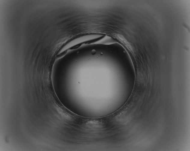 X0000092270441200709141204
