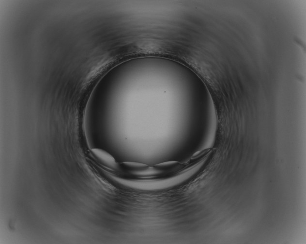 X0000092270442200709141204