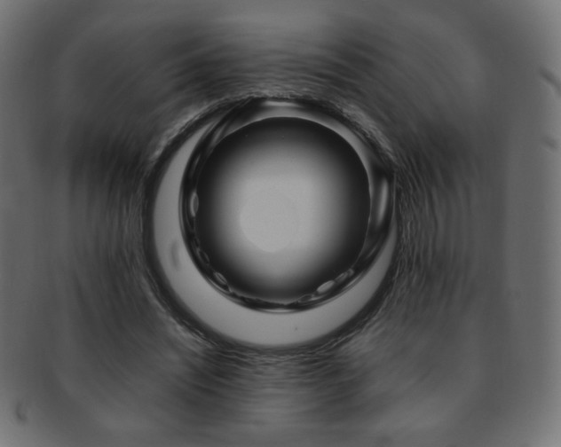 X0000092270444200709141204