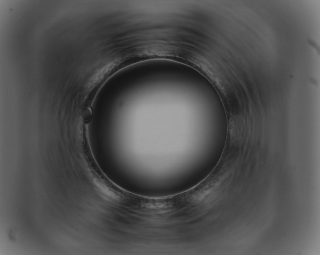 X0000092270445200709141204