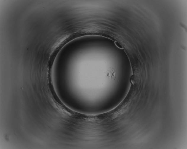 X0000092270446200709141204