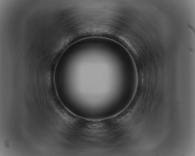 X0000092270447200709141204