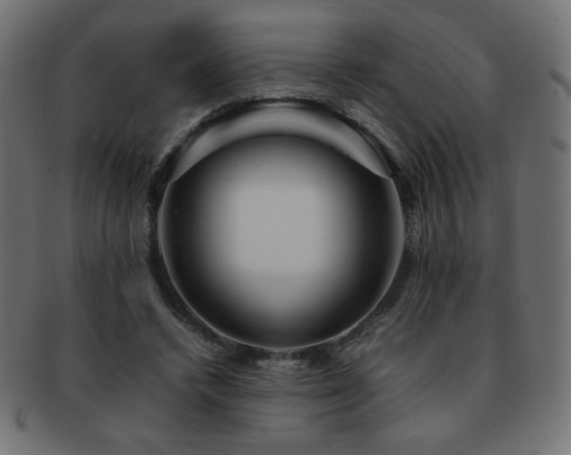 X0000092270448200709141204