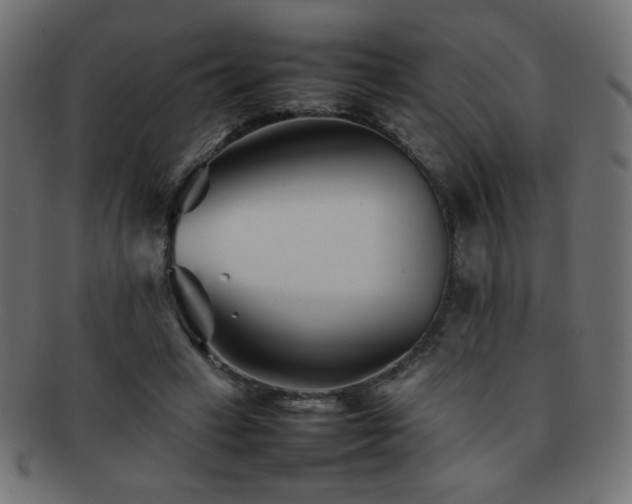 X0000092270449200709141204