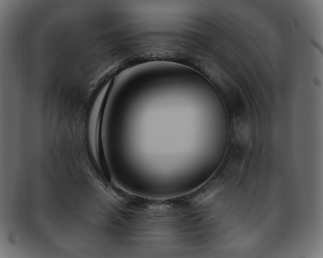 X0000092270450200709141204
