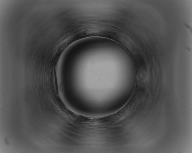 X0000092270454200709141204