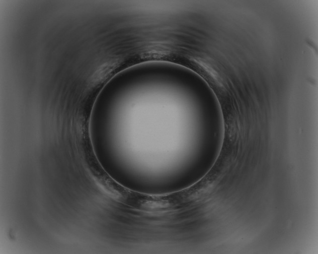 X0000092270455200709141204