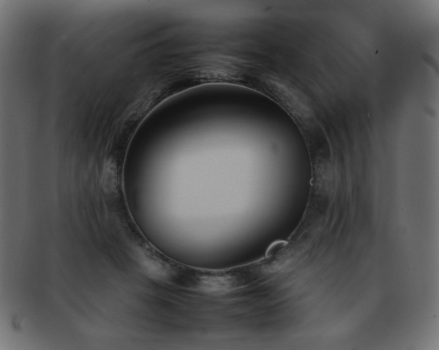 X0000092270457200709141204